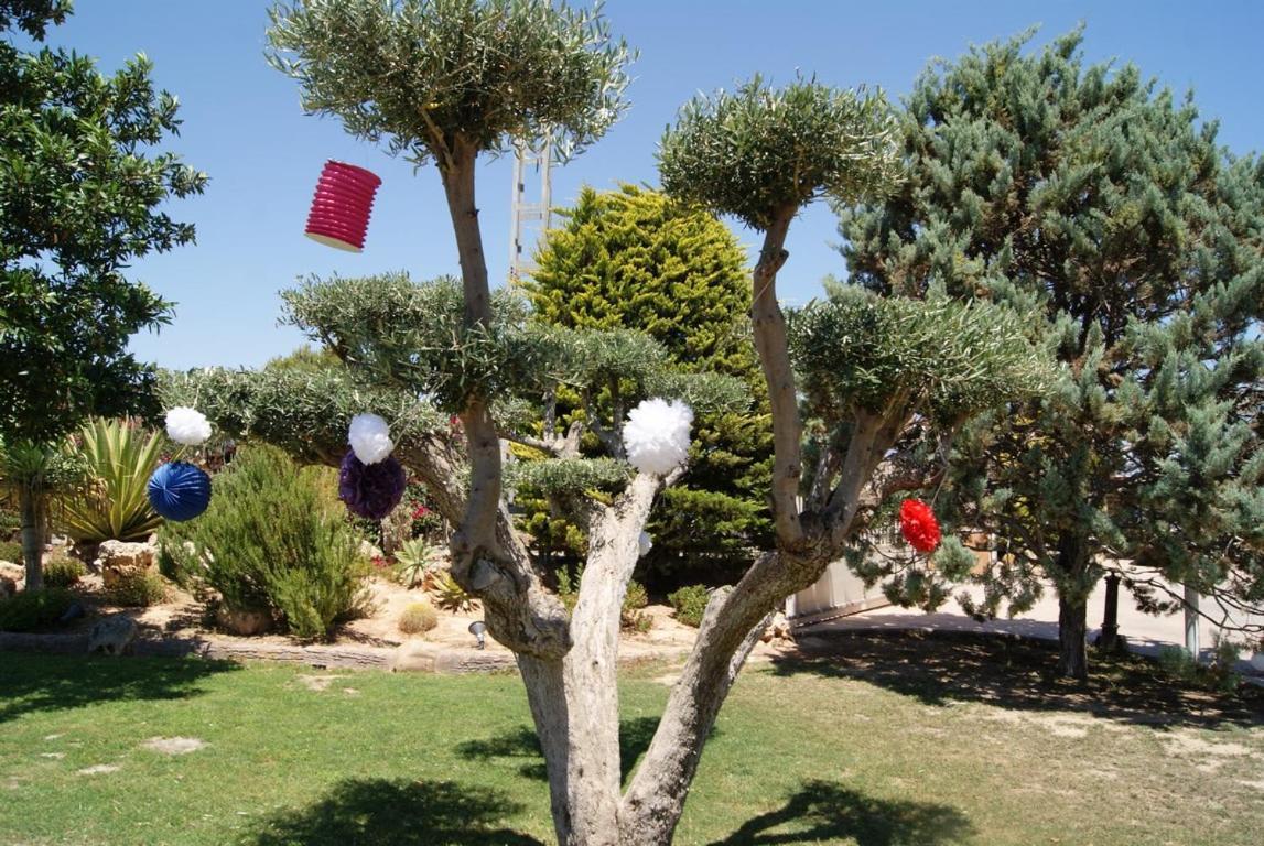 Los Jardines De Lola Daimes Exterior photo