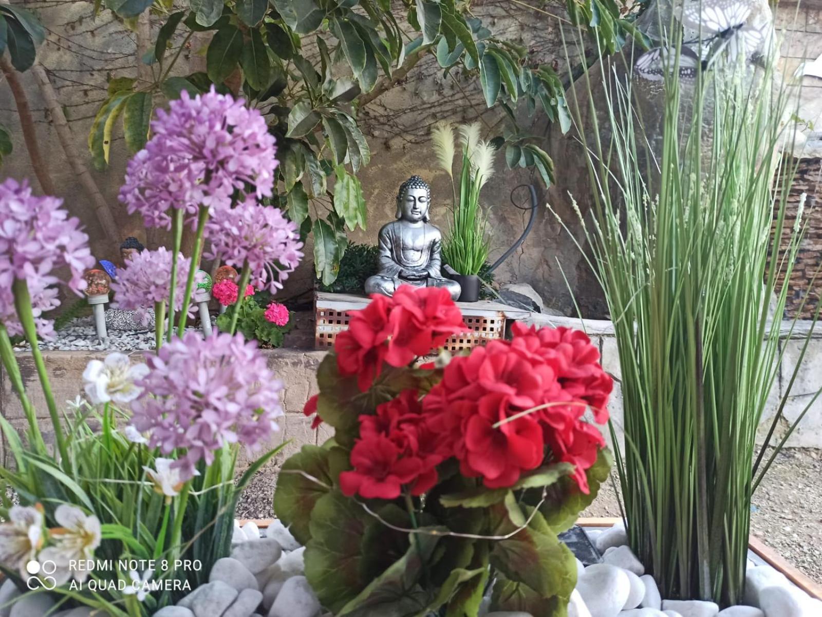 Los Jardines De Lola Daimes Exterior photo